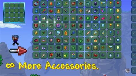 accessory slots terraria.